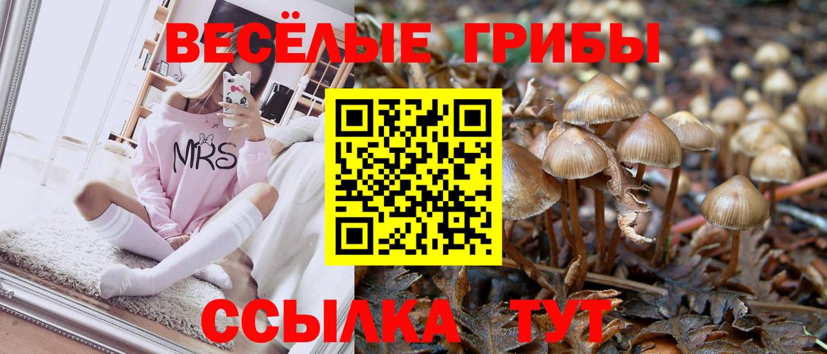 Псилоцибиновые грибы MAGIC MUSHROOMS  Вход с VPN  Курганинск 